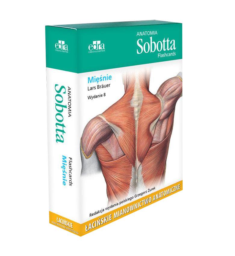 

Anatomia Sobotta Flashcards Mięśnie Łacińskie mian