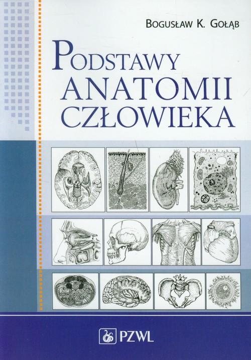 

Podstawy anatomii człowieka Gołąb Bogusław K.