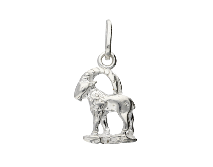 

Wisiorek Srebrny Znak Zodiaku SREBRO925 Koziorożec