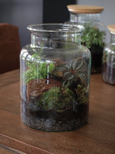 Jar ВАЗа jar jar clear M-H24 + стеклянная крышка Diameter 19 см