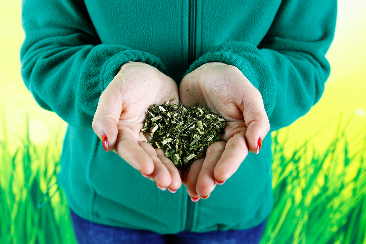 WROTYCZ EKSTRAKT Pędraki opuchlaki nicienie mszyce 100g ODSTRASZA SZKODNIKI Producent inna