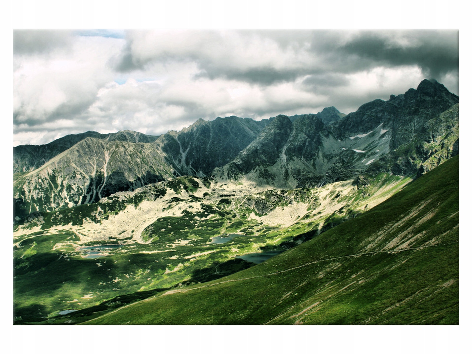 

Obraz na płótnie Pejzaż Polskie Tatry 60x40 Drzewo