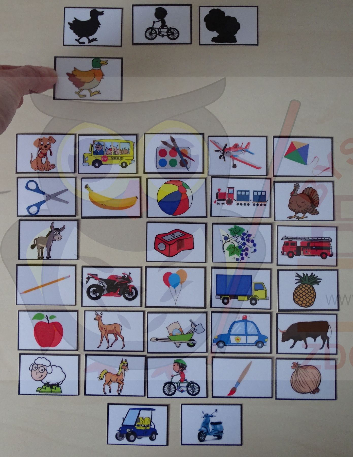 DOPASUJ CIENIE DO OBRAZKÓW CIENIE KARTY Język publikacji polski