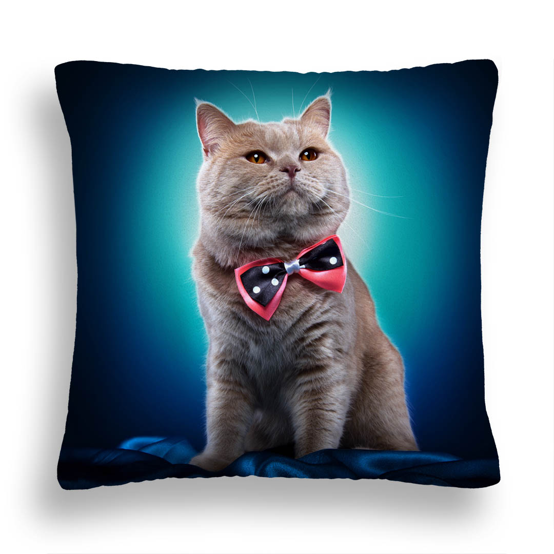 PODUSZKA KOT 39 MUSZKA TURKUS ARYSTOKRATA JASIEK