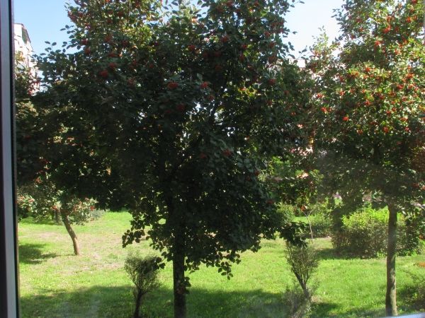 FILTR polaryzacyjny CPL SLIM 62mm 62 mm MC 8 + Marka Inna