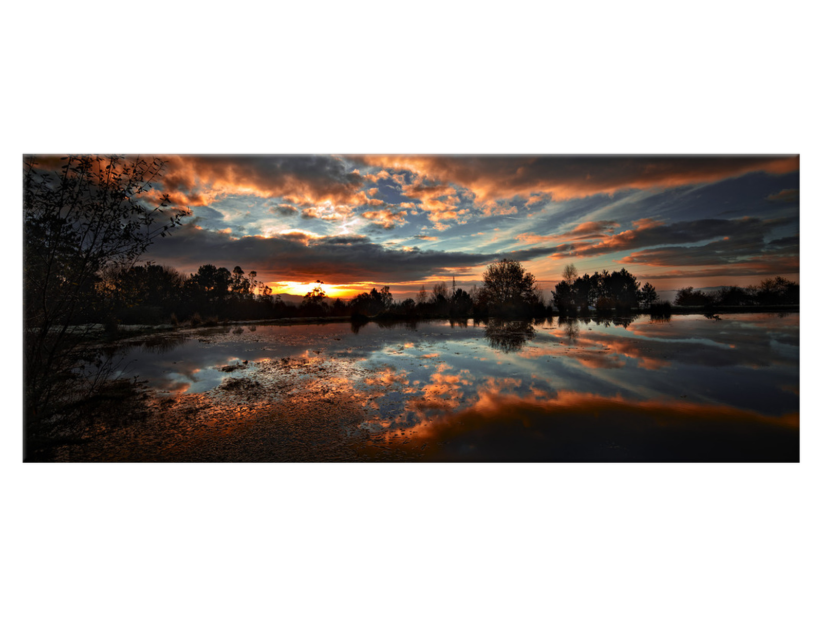 

Obraz Dobre perspektywy Rośliny 100x40 1568A_1I