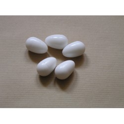 Jaja podkładowe białe z plastiku 5 sztuk,dla papug Marka Polmark