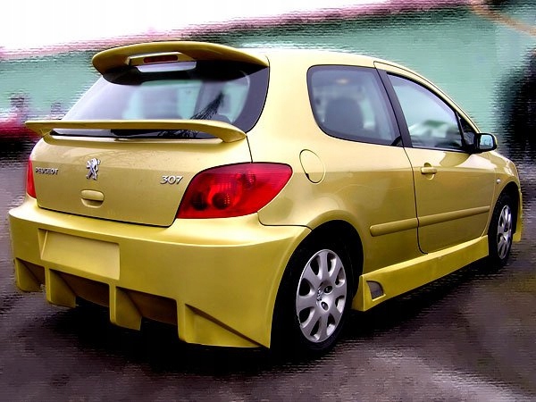 peugeot 307 tuning