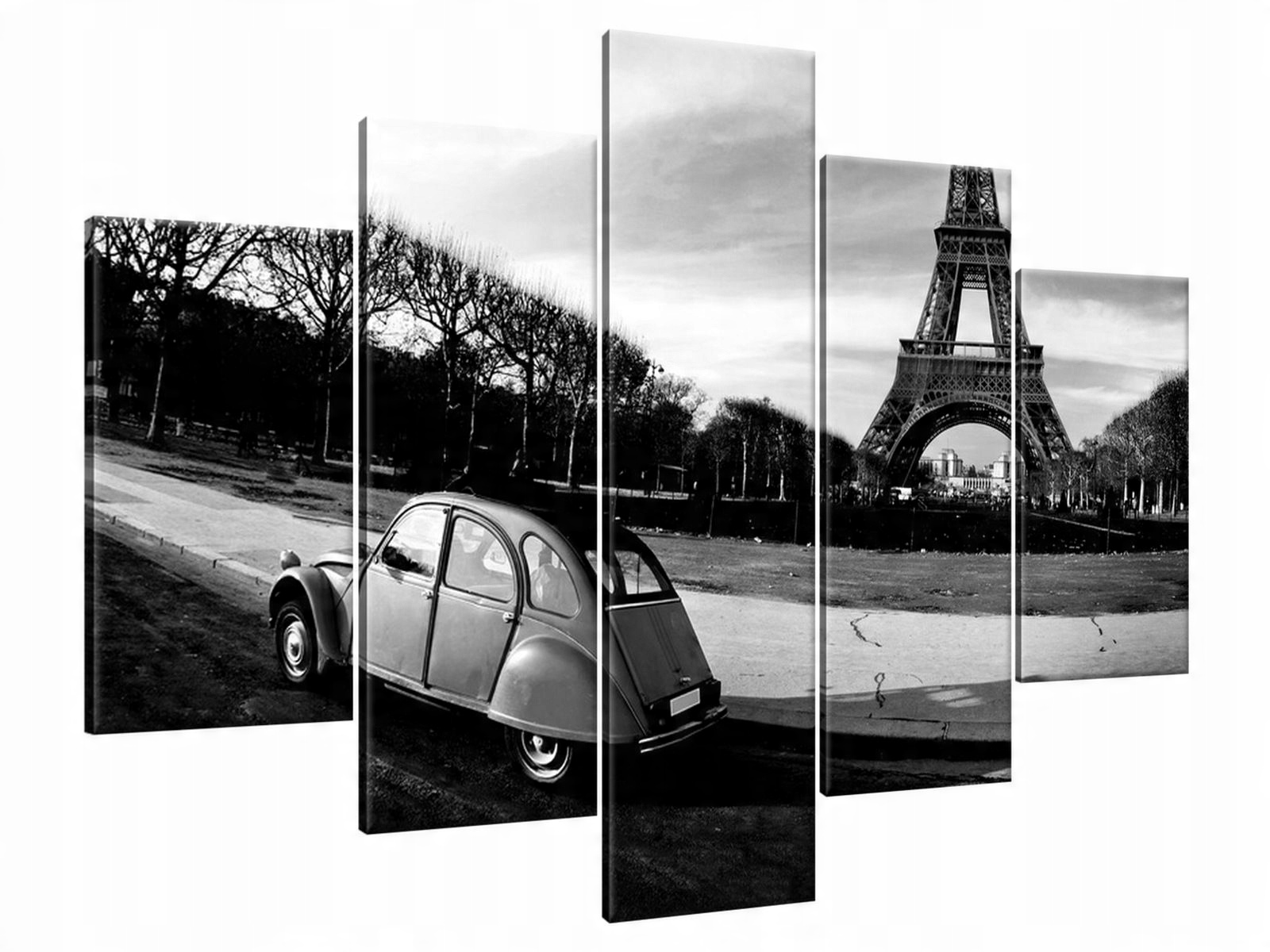 

Obraz Drukowany 150x105 Citroen 2 studium niezwy