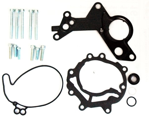 КОМПЛЕКТ ДЛЯ РЕМОНТУ НАСОСУ VACUM38145209m