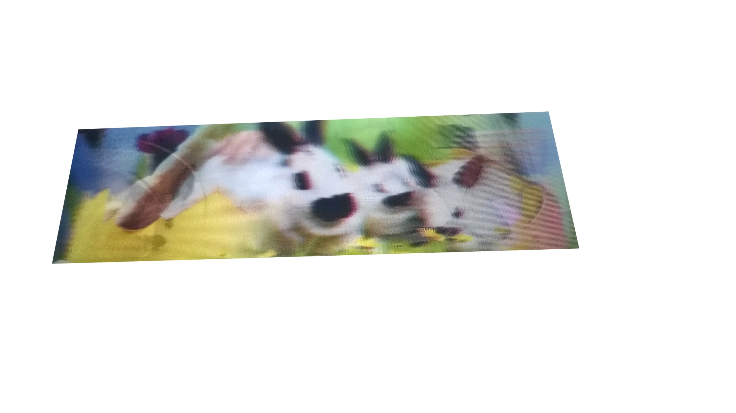 Zakładki Zakładka 3D Króliki Białe Czarne 3 D 5 15