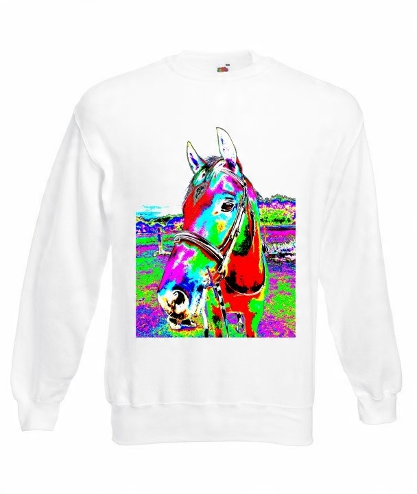 

Oversize Bluza Koń Konie Konik Wzory Prezent
