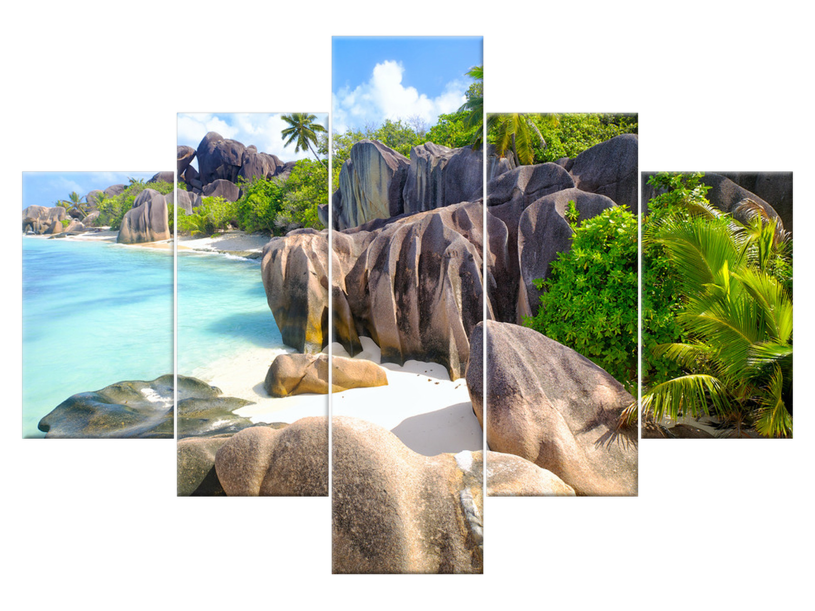 

Obraz Wyspa La Digue Rośliny 100x70 2419A_5A