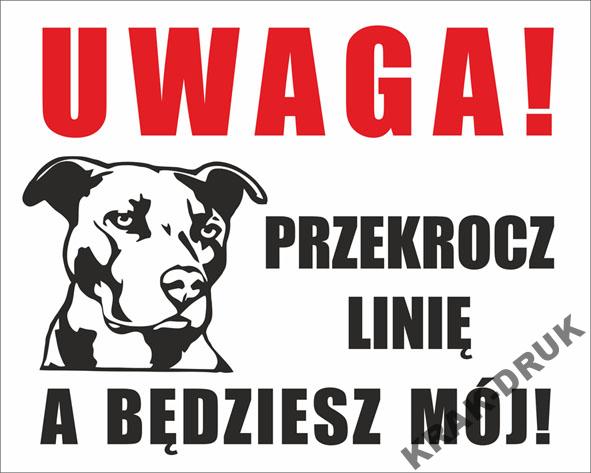 

Tabliczki Uwaga Pies 20 wzorów wymiar 20x25 cm