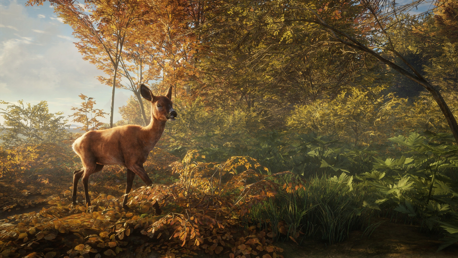 THEHUNTER HUNTER CALL OF THE WILD PL PC + 4 DLC STEAM KLUCZ + GRATIS Granice wiekowe (PEGI) 16