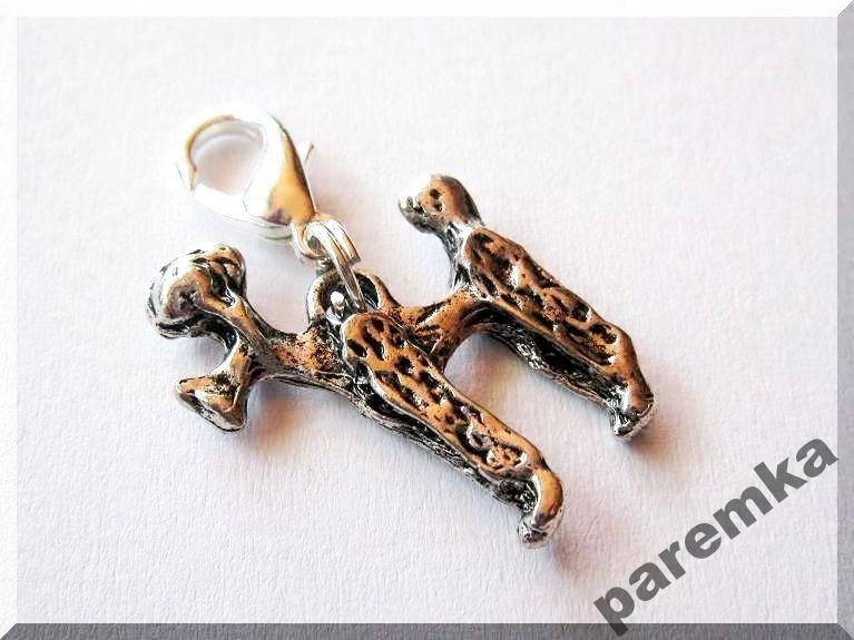 

Metalowa Zawieszka Charms 3D Pudel Pies