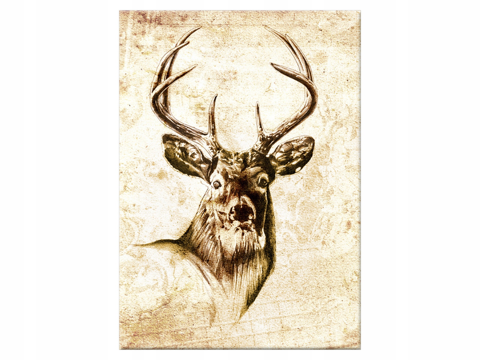 

Obraz Wspaniały jeleń 50x70 Zwierzęta Jeleń salon