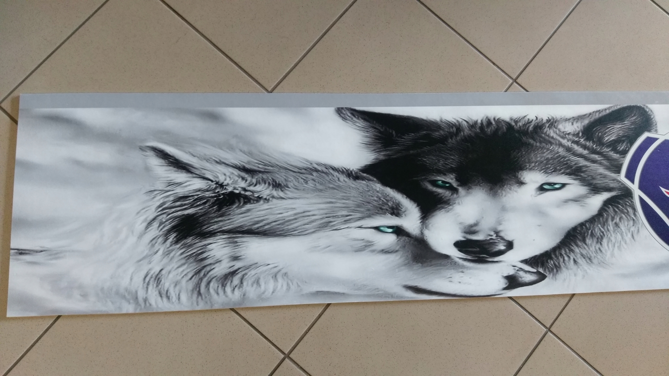 Chlapacz naczepy przyczepy SCANIA WILKI bialy Installation side Rear