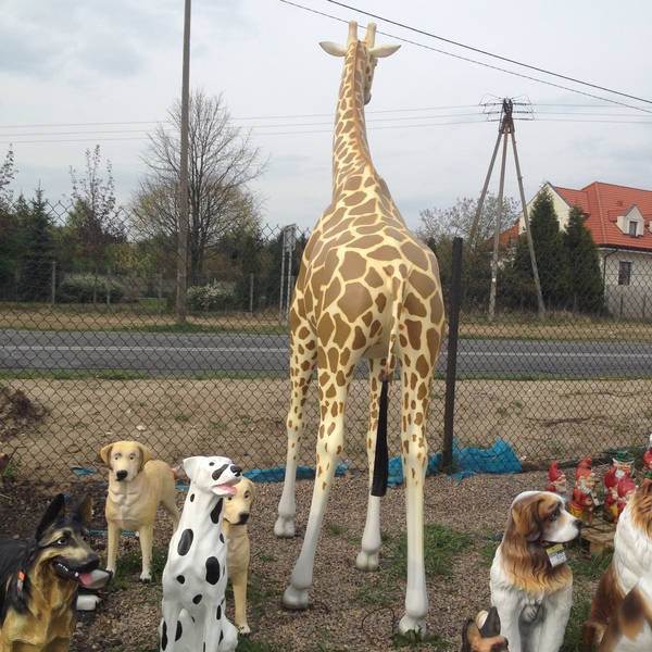 FIGURKA OGRODOWA - ŻYRAFA XXXL Producent inna