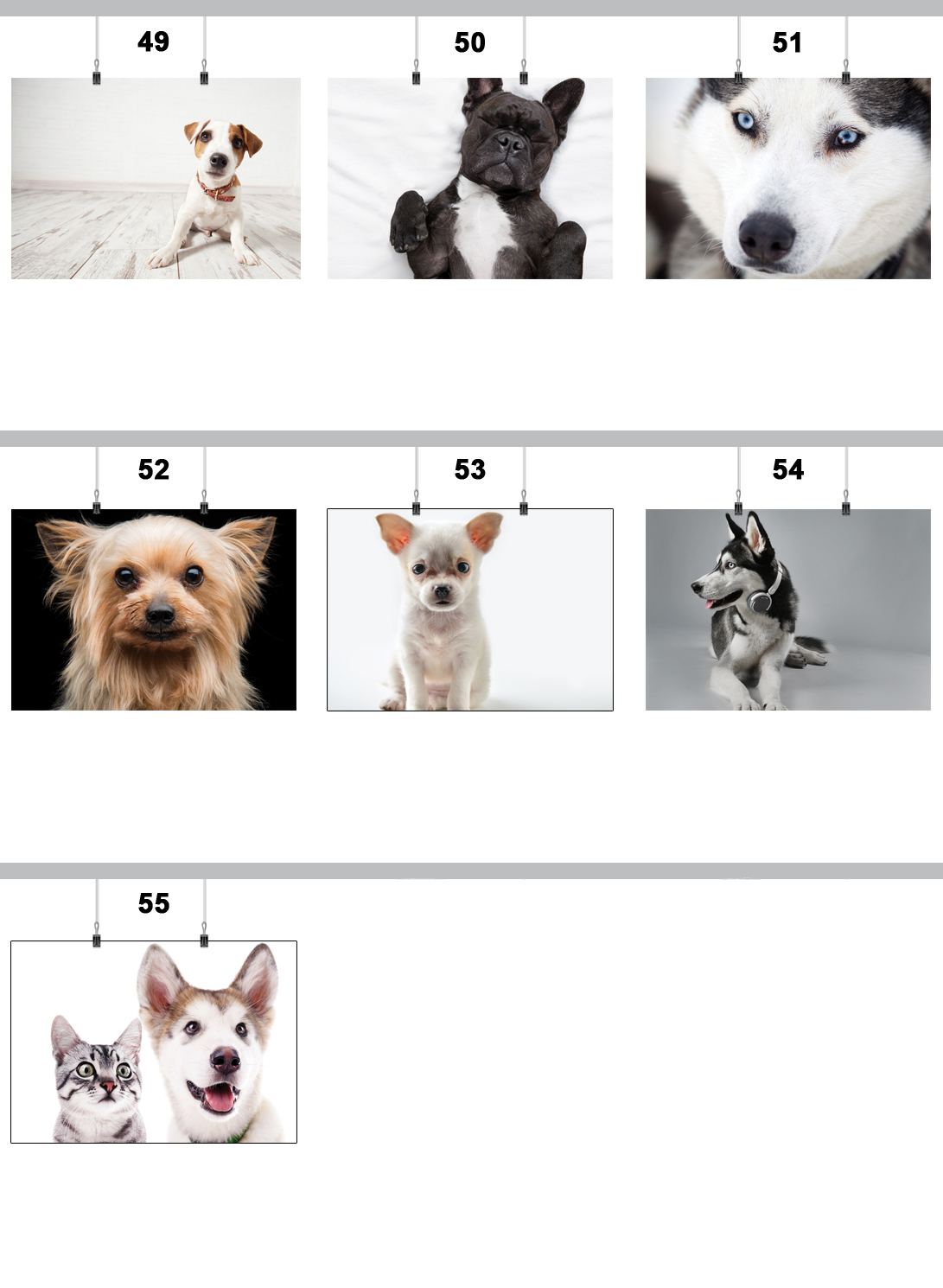 PLAKAT PIES PSY PIESKI 59x42 CM 55 WZORÓW MATOWY Nazwa Plakat