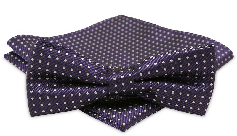 Modna mucha z poszetką - Alties