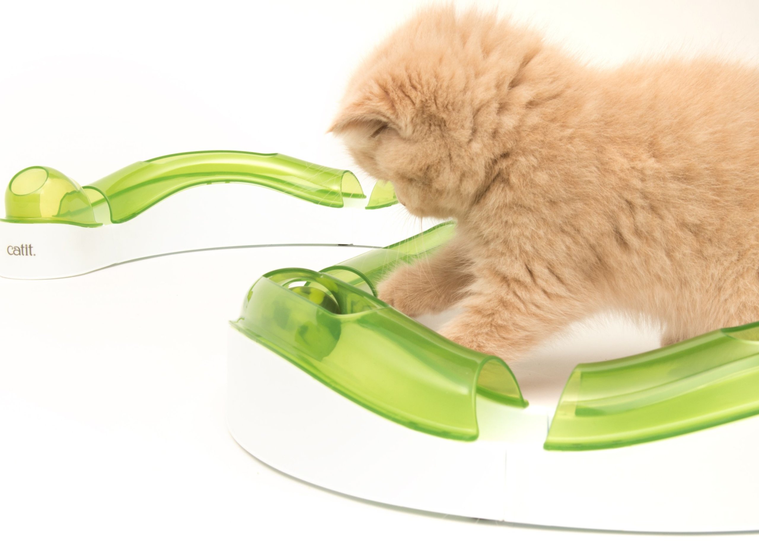 

Catit Senses 2.0 Tor dla kota Circuit 2.6m