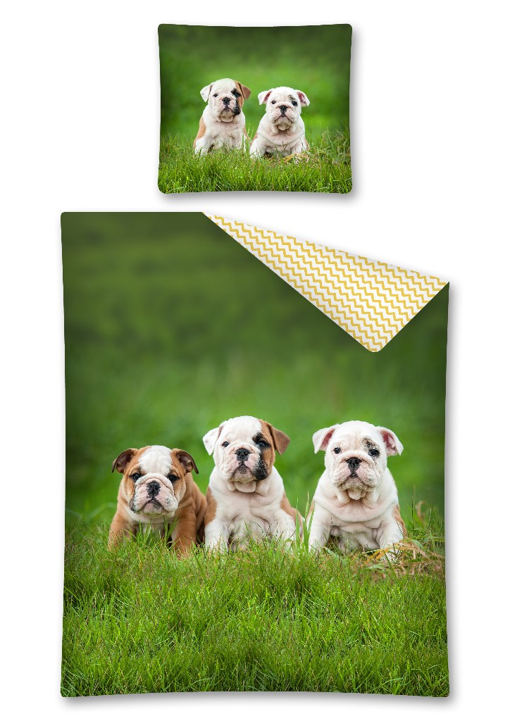 

Pościel młodzieżowa 160x200 Pieski Bulldog 2636