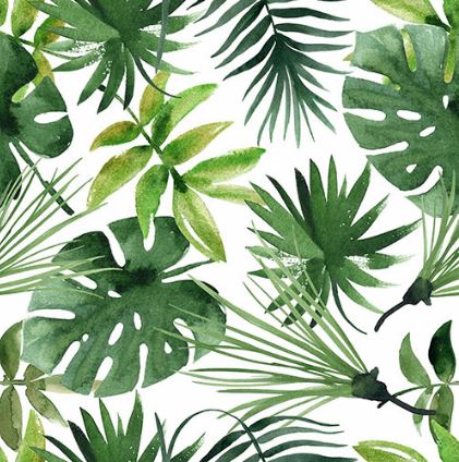

Serwetki papierowe Monstera 33x33cm 3warstwy 20szt