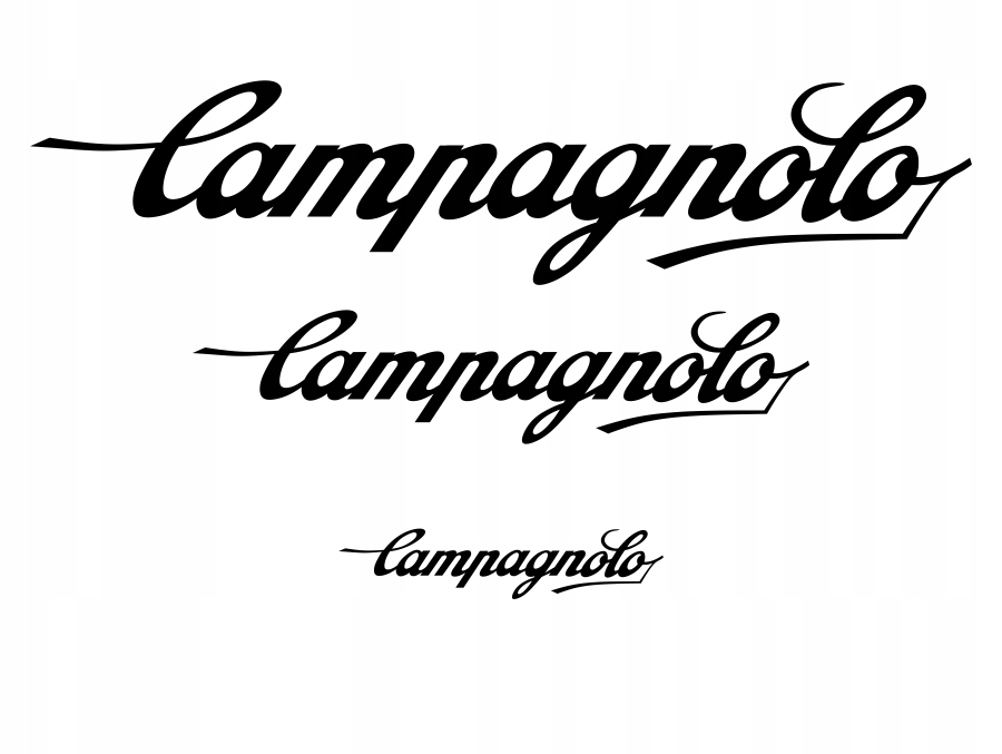 

Campagnolo naklejki zastępcze na rower komplet