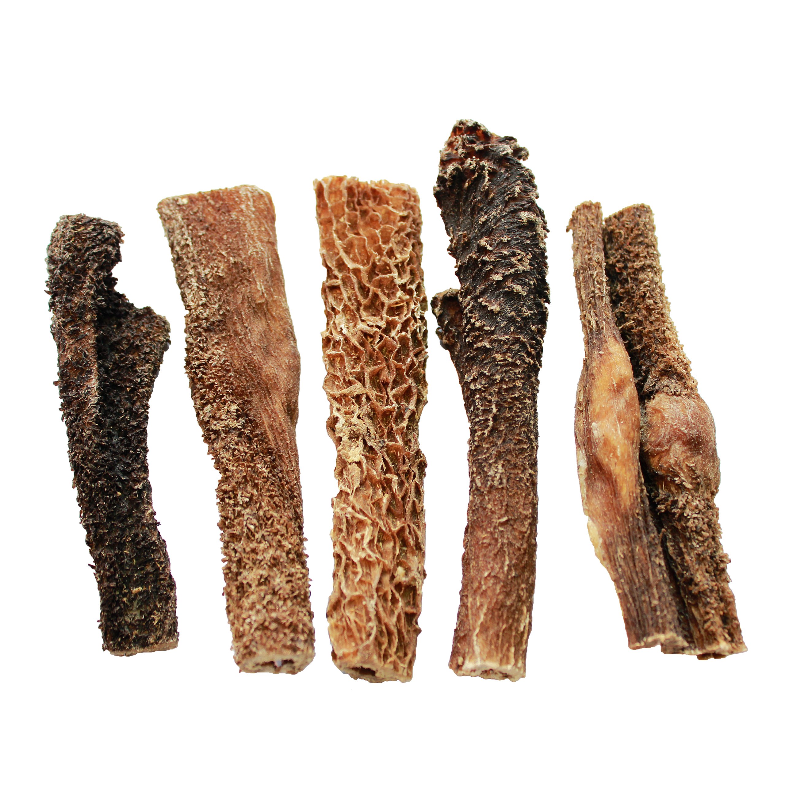 Trockene Narbe