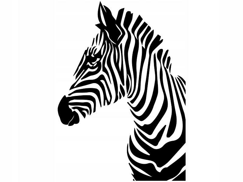 

Naklejka dekoracyjna na ścianę Zebra 70 cm