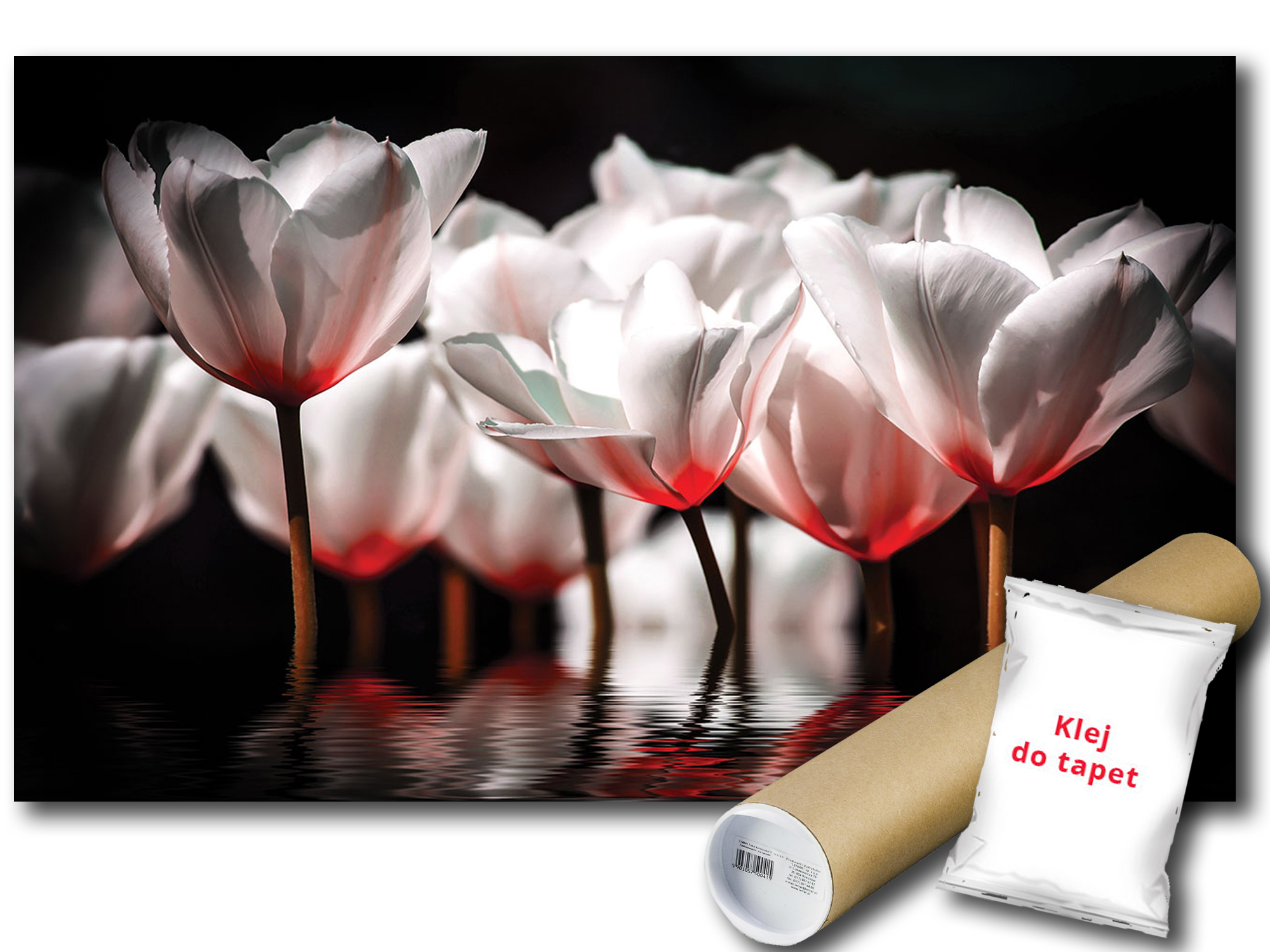 Fototapeta Tulipány Tulipán 9C V8 368x254 F1102