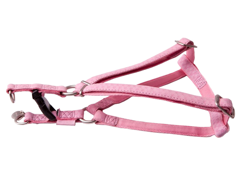 Postroj Zolux pro psa velký XXL, pásek: 25 mm