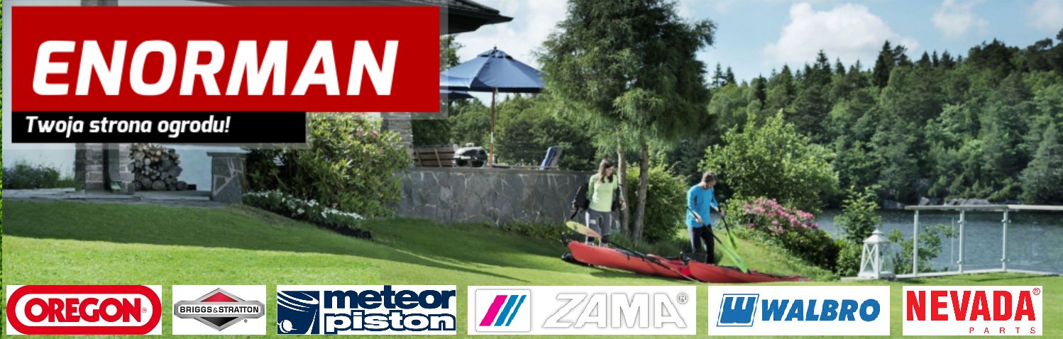 FILTR OLEJU TRAKTORKA BRIGGS STRATTON ORYGINAŁ BiS Typ filtr