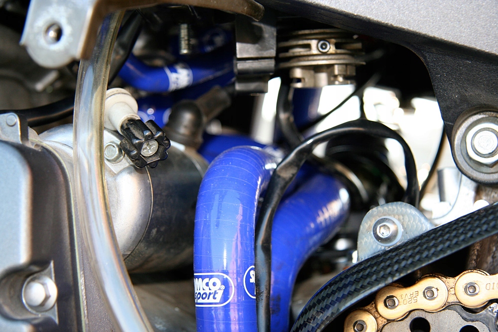 2d5565b24663830f8e64eddc161e