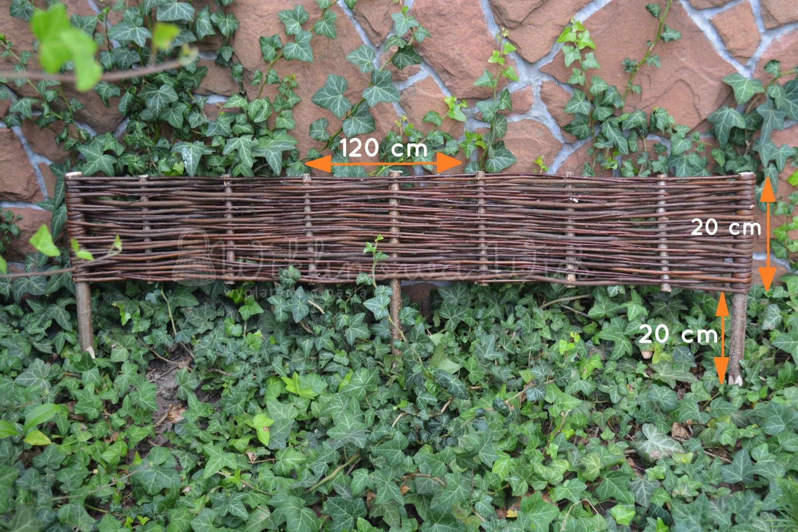 PALISADA WIKLINOWA 20/120 płotek obrzeże z wikliny Wysokość produktu 20 cm