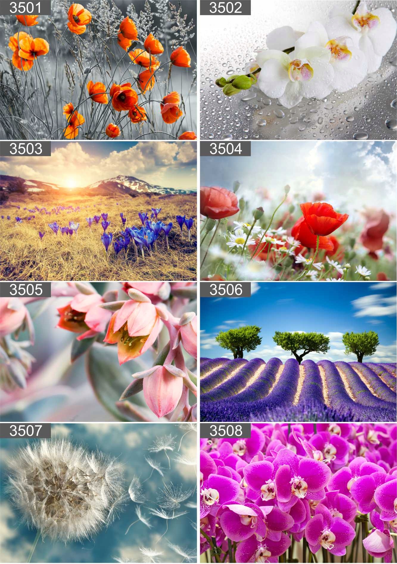 PLAKAT POSTER LAS NATURA MGŁA 90x60 MAX WYBÓR Szerokość produktu 90 cm