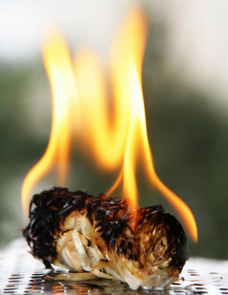 PODPAŁKA DO GRILLA KOMINKA OGNISKA PIECA 1kg EKO Kod producenta ekologiczna podpałka