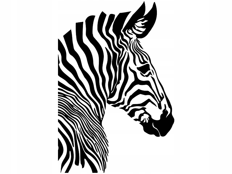 

Naklejka dekoracyjna na ścianę Zebra 50 cm