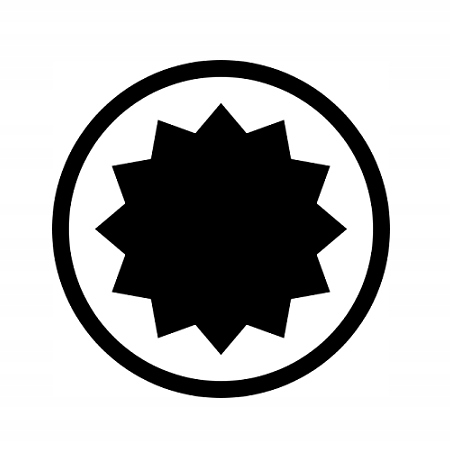 CORONA BIT GROT KOŃCÓWKA SPLINE M12 12x75mm C33445 Marka Corona/Richmann