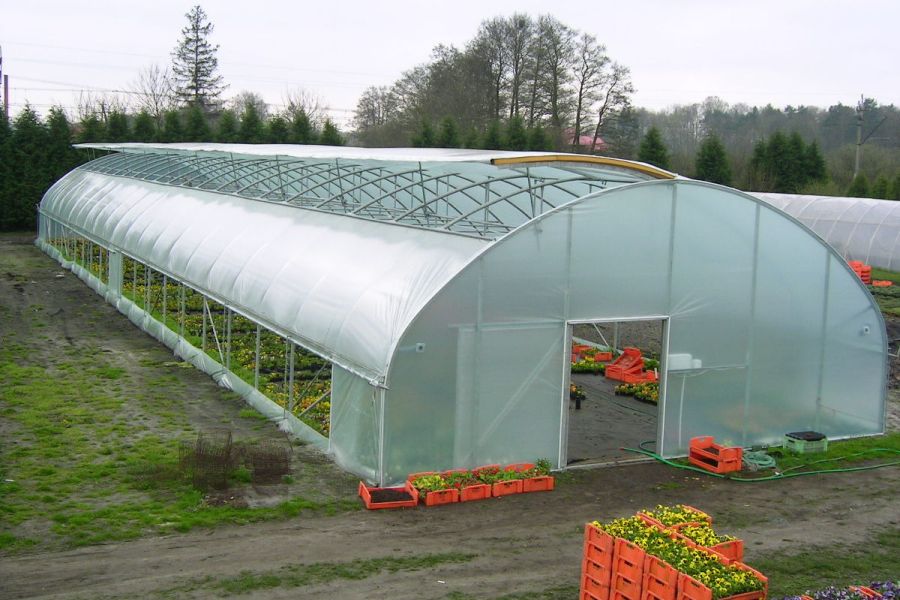 FOLIA OGRODNICZA TUNELOWA GARDENVIT 6x33m UV10 Wysokość produktu 0 cm