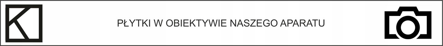 PŁYTKI PODŁOGOWE MAROKAŃSKIE PATCHWORK 20X20 MATOWE DEKOR BLUE NIEBIESKIE Typ gres