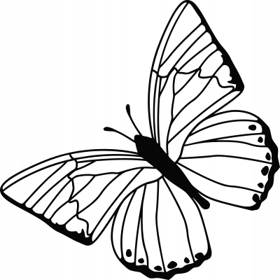 

Naklejka na ścianę z motylem Motyl 20 cm