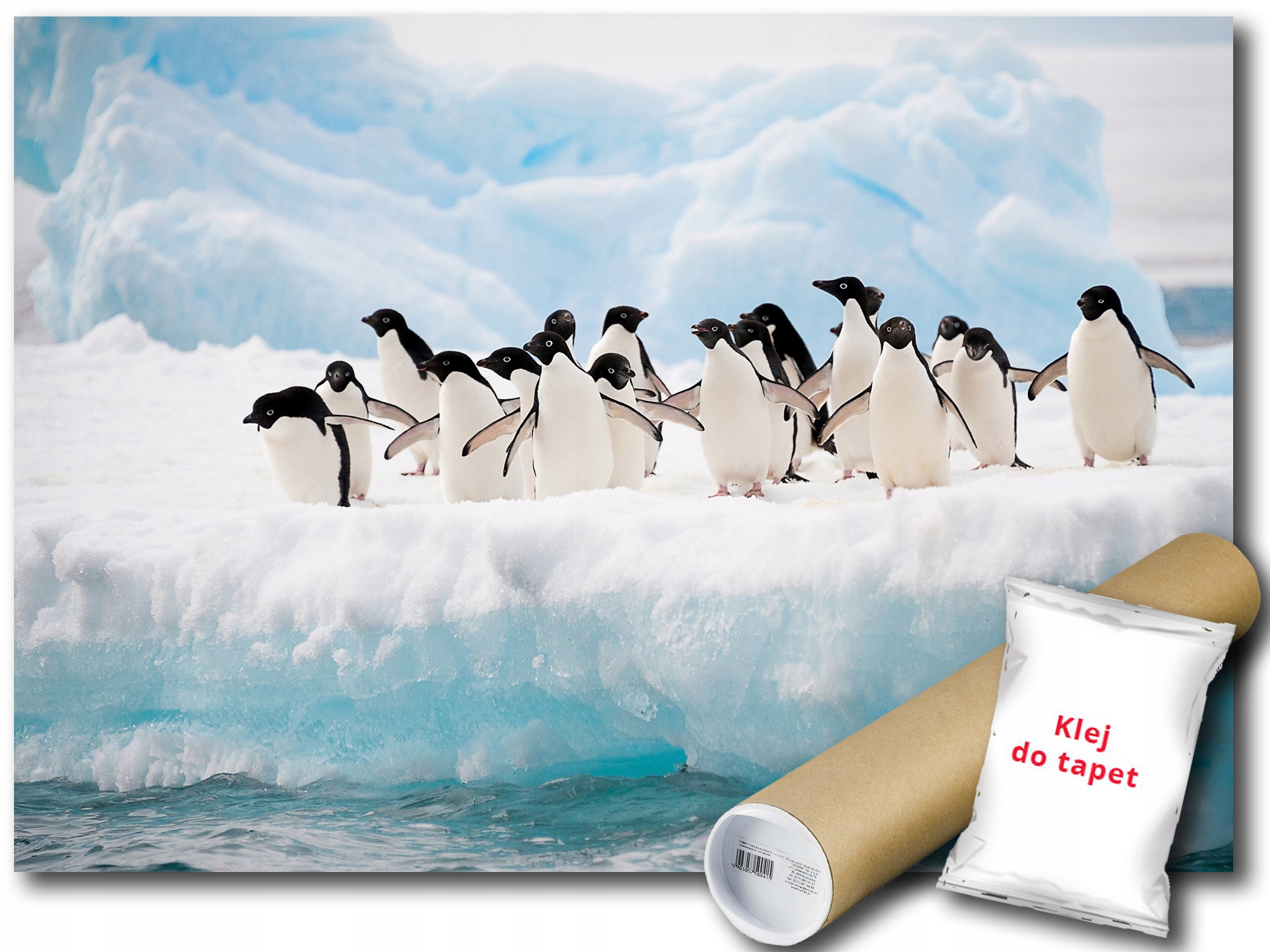 Fototapeta Tučňáci 12C Fxl 208x146 F2726