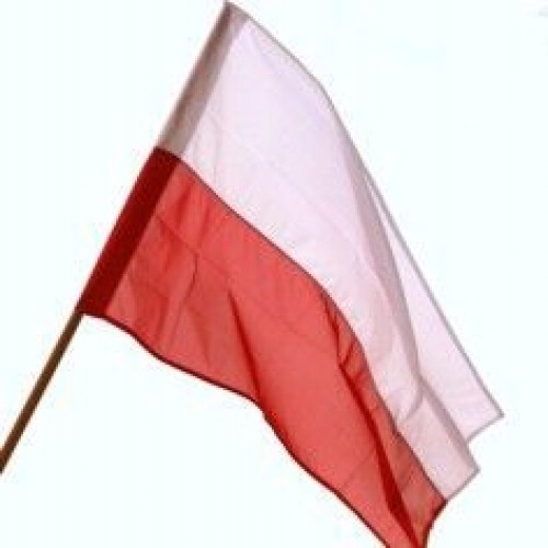Flaga Polska Kibic Patriota Bez Drzewca 90X60 CM