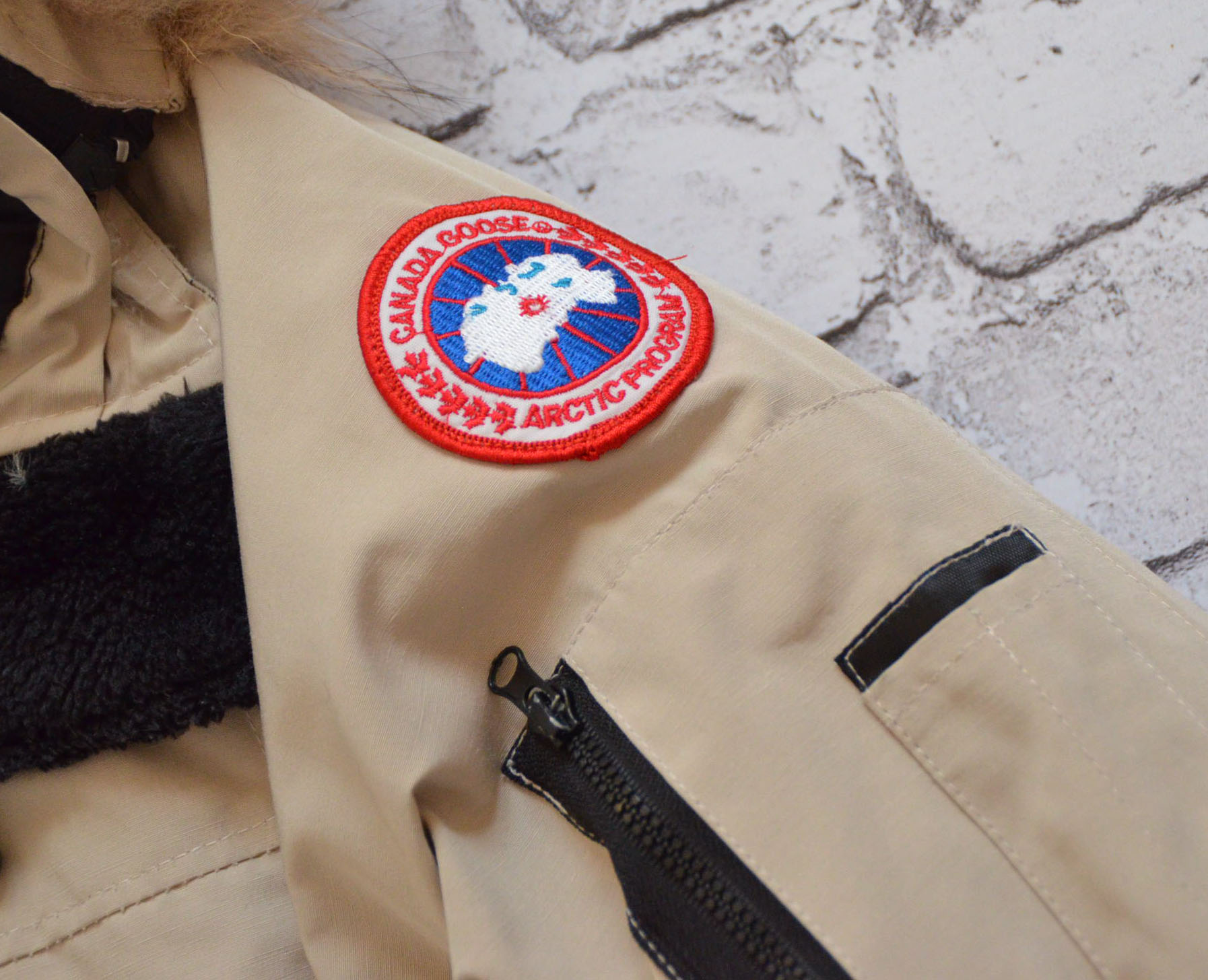 canada goose CHILLIWACK wiosenna canada goose CHILLIWACK wiosenna