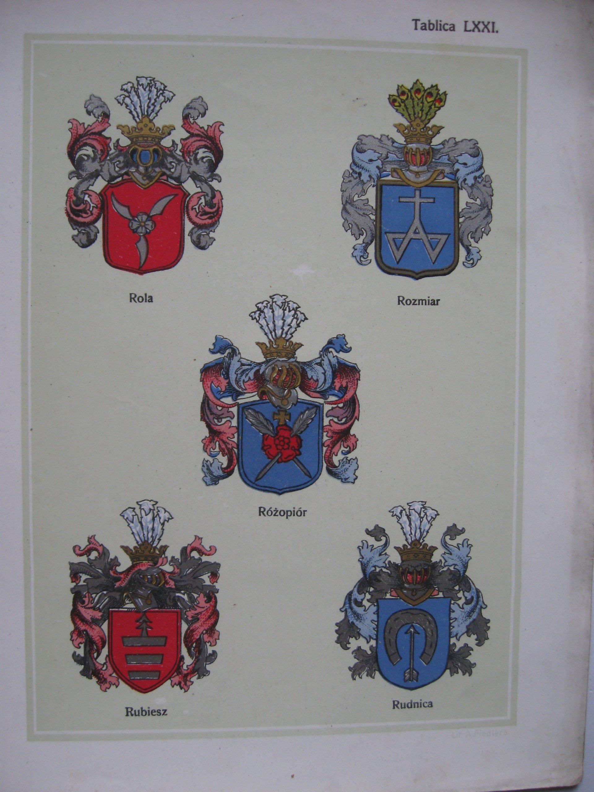 Wśród Szlachty Polskiej Popularne Było Przekonanie że Pochodzi Ona Od HERBY szlachty polskiej Różopiór LITOGRAFIA 1908 - 7200530332