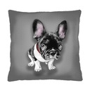 фото mini №1, Cushion with cartridge bertoni 40x40 chester