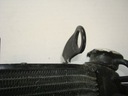 Suzuki gsx 1300 b-king 08-12 / охладитель3, купить с разборки