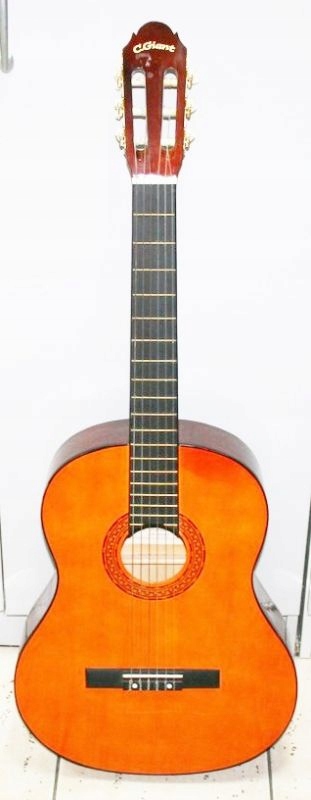 GITARA AKUSTYCZNA C.GIANT NR 4005-650-2